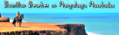 Brazilian Beaches on Mangalarga Marchador