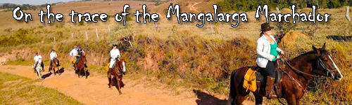 On the trace of the Mangalarga Marchador