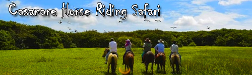 Casanare Horse Riding Safari