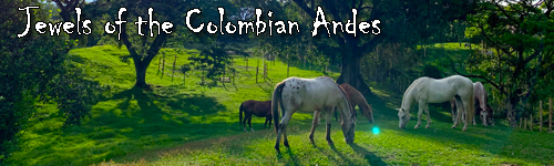 Jewels of the Colombian Andes