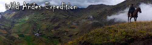 Wild Andes Expedition