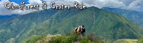 Cloudforest & Crater Ride