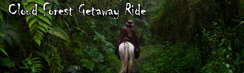 Cloud Forest Getaway Ride