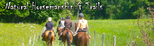 Natural Horsemanship & Trails