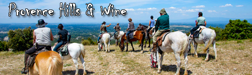 Provence Hills & Wine