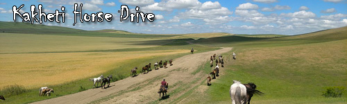 Kakheti Horse Drive
