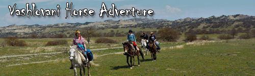 Vashlovani Horse Adventure