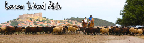 Lesvos Island Ride