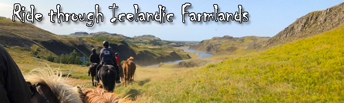 Icelandic Farmlands