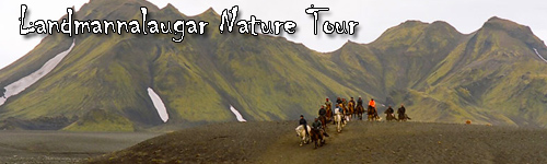 Landmannalaugar Nature Tour