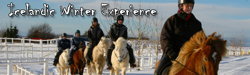 Icelandic Winter Experience