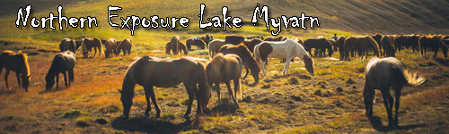 Northern Exposure Lake Myvatn