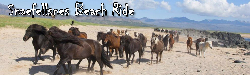 Snaefellsnes Beach Ride