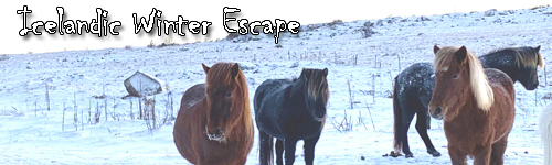 Icelandic Winter Escape