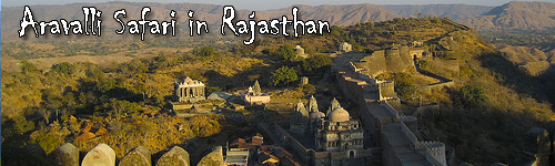 Aravalli Safari in Rajasthan