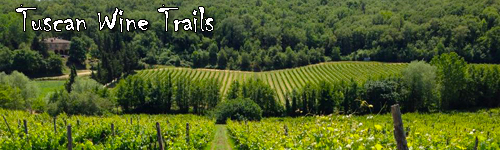 Tuscan Wine Trails