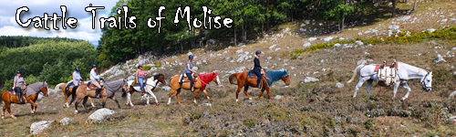 Cattle Trails of Molise