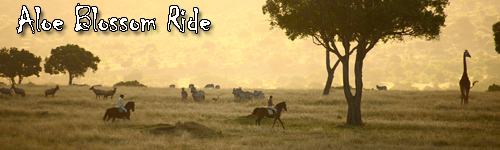 Masai Mara Ride - Aloe Blossom