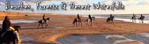 Beaches, Forests & Desert Waterfalls