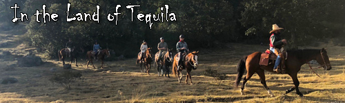 In the Land of Tequila: Horseback Riding in Jalisco Haciendas