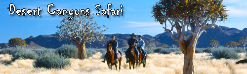 Desert Canyons Safari