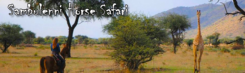 Sambulenni Horse Safari