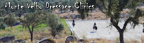 Monte Velho Dressage Clinics