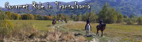 Gourmet Ride in Transylvania
