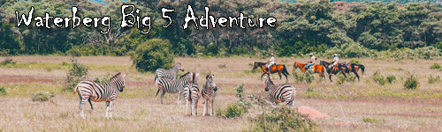 Waterberg Big 5 Adventure