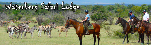 Waterberg  Safari Lodge