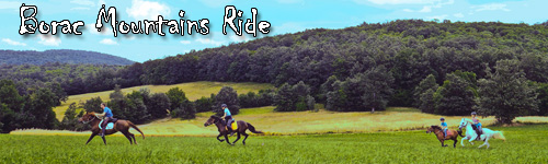 Borac Mountains Ride in Serbia