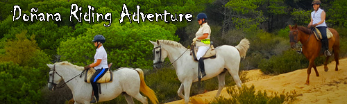 Doñana Riding Adventure