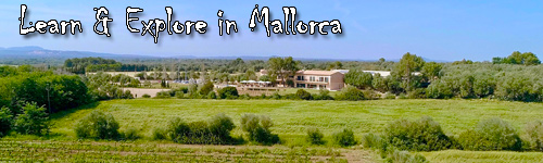 Learn & Explore in Mallorca