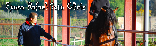 Epona Rafael Soto Clinic