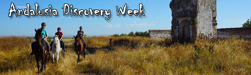 Andalusia Discovery Week