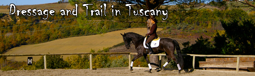 Dressage & Trail