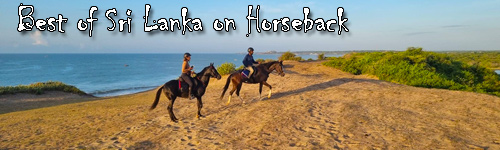 Best of Sri Lanka on Horseback