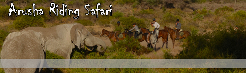 Arusha Riding Safari