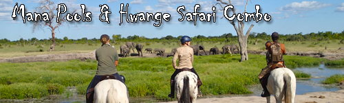 Mana Pools & Hwange Safari Combo
