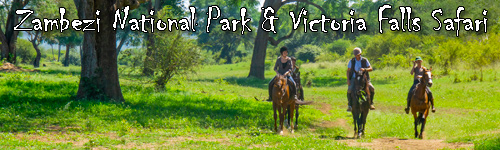 Zambezi National Park & Victoria Falls Safari Ride
