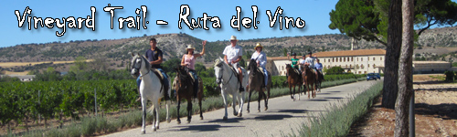 Vineyard Trail - Ruta del Vino