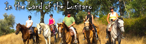In the Land of the Lusitano
