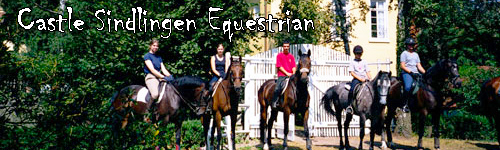 Castle Sindlingen Equestrian