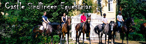 Castle Sindlingen Equestrian