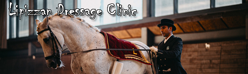 Lipizzan Dressage Clinic