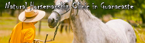 Natural Horsemanship Clinic in Guanacaste