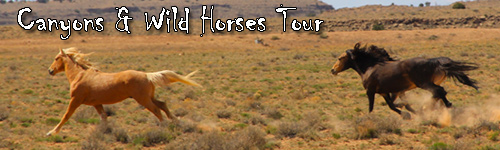 Canyons & Wild Horses Tour