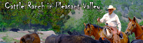 Cattle Ranch in Pleasant Valley