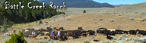 Battle Creek Ranch