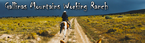 Gallinas Mountains Working Ranch